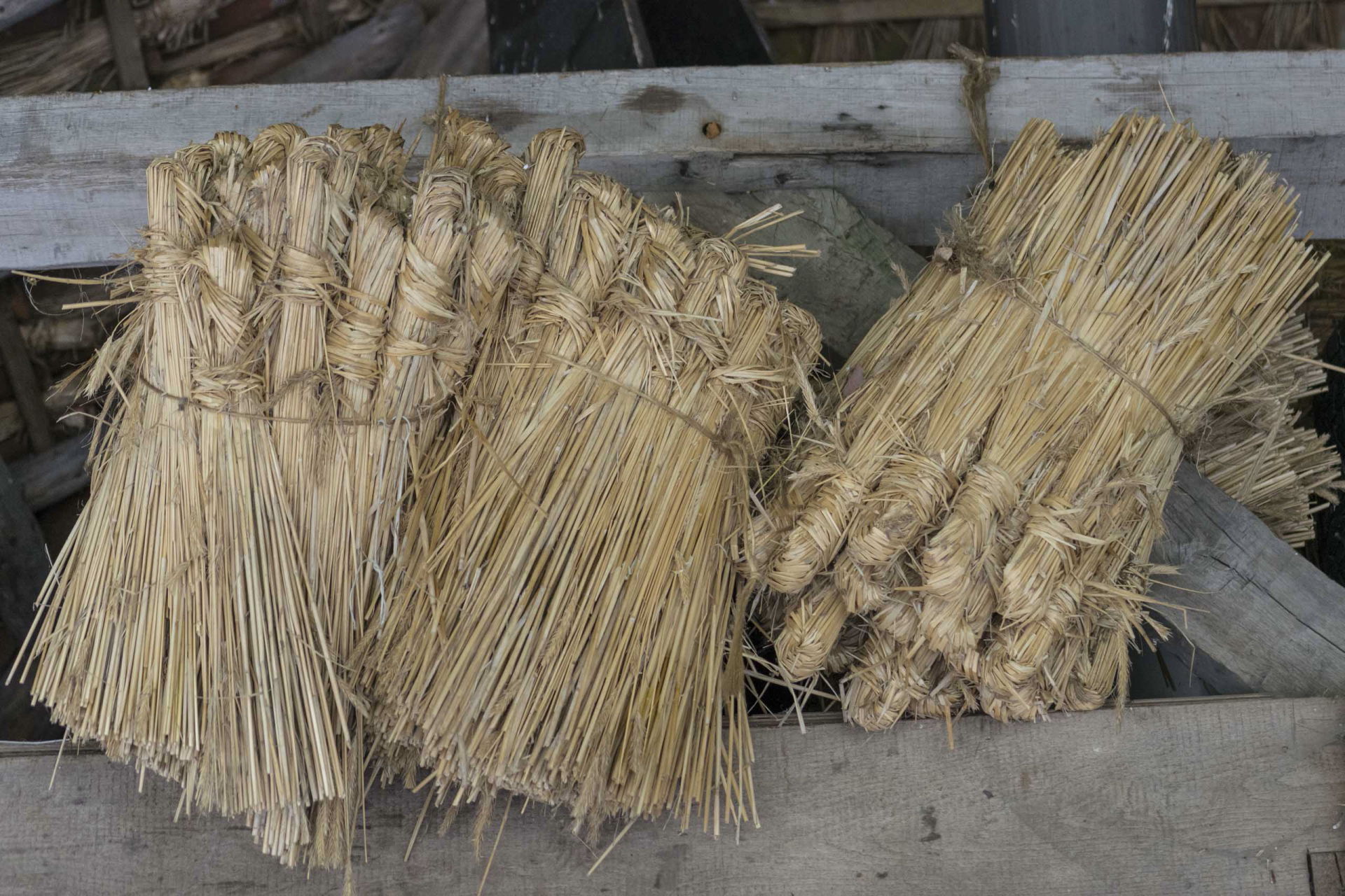 thatched-roof-2418725